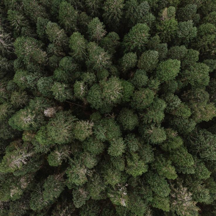 Protected areas overview